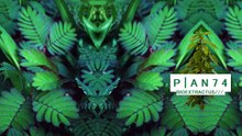 PLANTA - BIOEXTRACTUS/// - Album Box (Disc 3) Prod. by Borby Norton