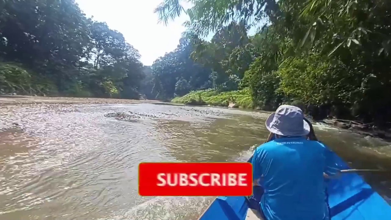 Borneo Sarawak River