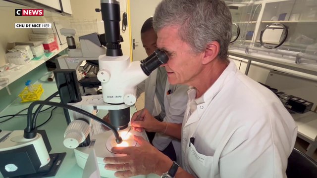 Punaises de lit : des chercheurs niçois ont trouvé une solution pour lutter contre ces parasites