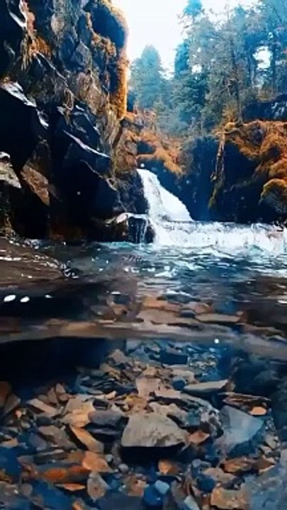 Enjoy the Nature