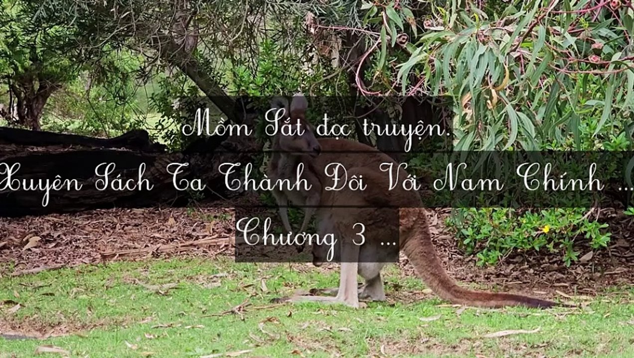 C1-C10 Xuyên Sách Ta Thành Đôi Với Nam Chính Phản Diện