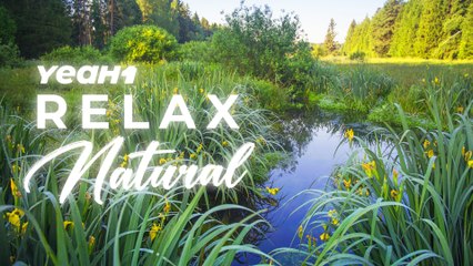 Stress-Free Vibes: Relaxing Music For Your Soul | YeaH1 Relax Natural