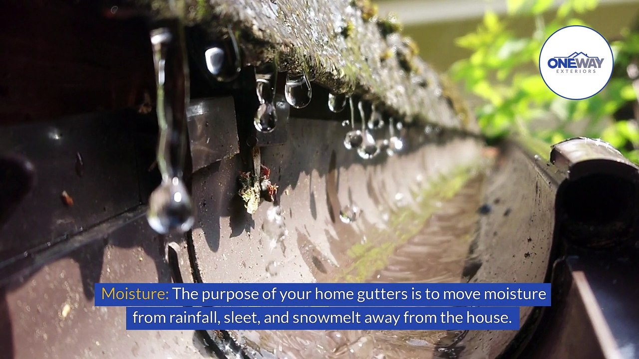 Protect Your Home: What to Know About Gutters and Pest Infestations