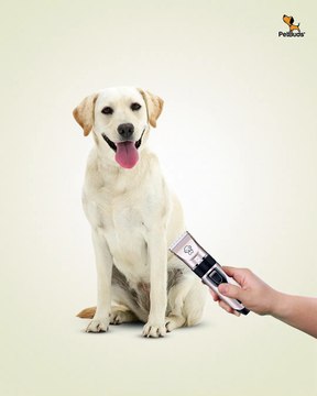 Cat & Dog Clippers With Hair Trimmer Kit Best Professional Grooming Kit For Pets