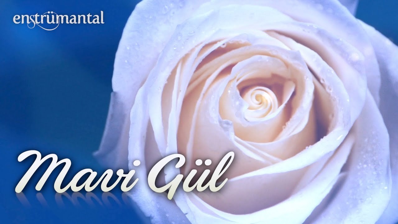 MAVİ GÜL ♫ Duygusal Fon Müziği (Enstrümantal Ney Sesi)