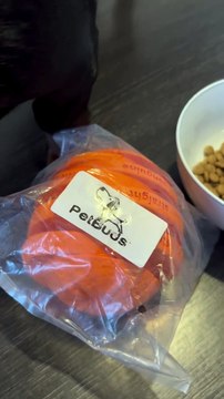 Dog Toys For Boredom Orange Shape Interactive Pet Orange Toy