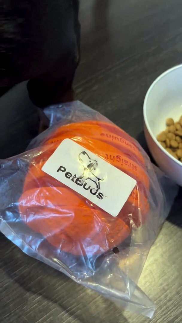 ⁣Dog Toys For Boredom Orange Shape  Interactive Pet Orange Toy