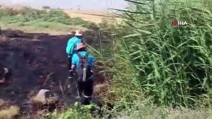 Kayıp Narin için annenin umutsuz feryadı