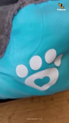 Dog And Cat Sleeping Bed  Kennel Pet Sleeping Bed  Comfortable & Durable