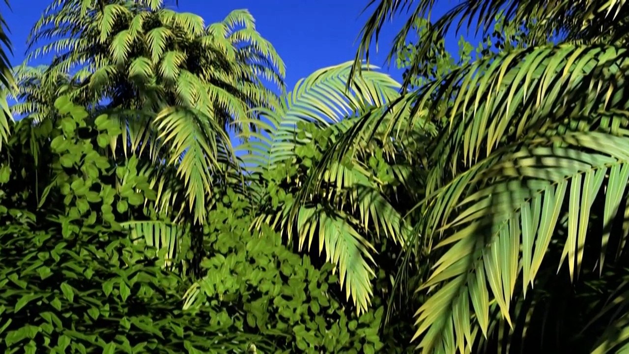 Videografik: Die Versauerung der Meere