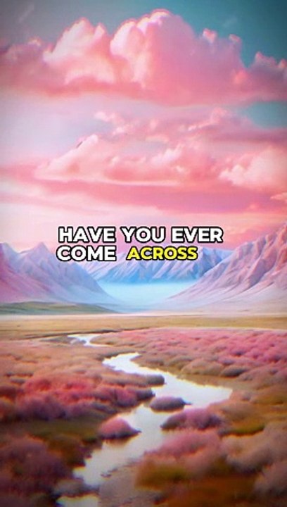 Have you ever come across a quote that speaks directly to your soul?