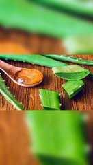 EFFECTS AND SIDE EFFECTS OF ALOE VERA  एलोवेरा के फायदे और नुकसान