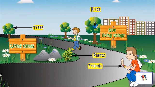 Living And Non-Living Things - 3