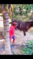 Minecraft funny dubbing