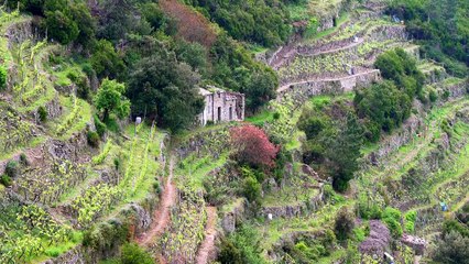 Hiking 44 km the Cinque Terre Trail in Italy