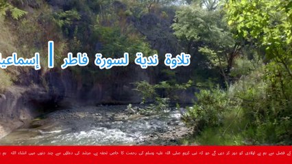 Nada's Heartfelt Recitation of Surah Fatir: A Soulful Reflection on Creation