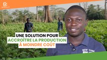 Côte d'Ivoire : Une solution pour accroître la production à moindre coût