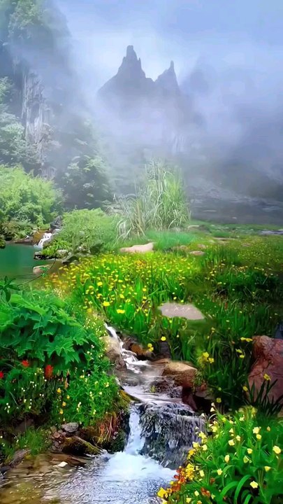 Beautiful Nature