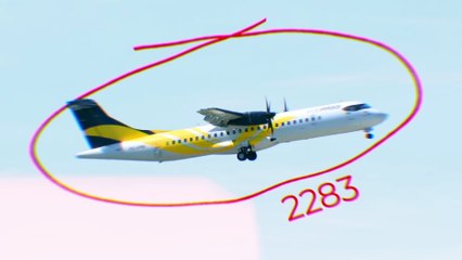 Unexplained Freefall Crash from 17000 Feet ｜ Fligh..