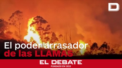 El incendio que ha arrasado más de 3.800 hectáreas en el sur de Ecuador