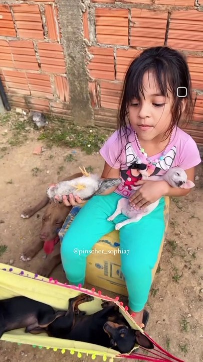 Love birds and animals with baby girl