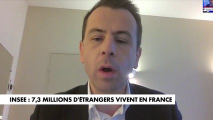 Download Video: Nicolas Pouvreau-Monti : «Il n'y a jamais eu autant d'immigrés et d'étrangers en France qu'aujourd'hui»