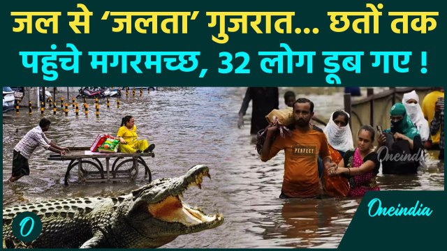 Gujarat Floods Update: गुजरात में छतों पर पहुंचे मगरमच्छ, बाढ़ से 32 लोगों की जान गई | वनइंडिया हिंदी