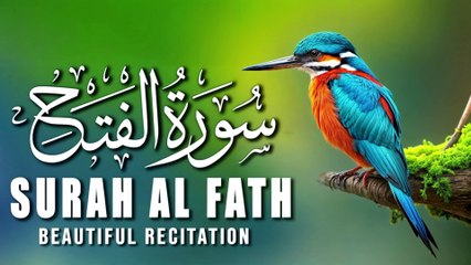 下载视频: Surah Al-Fath Full (The Victory) سورة الفتح | The Most Beautiful Recitation | Tilawat E Quran | AL Quran