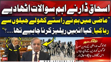 "Past Mein Humnay Rastay Kholay, Jailon Say Riha Kiya Aaj...", Ishaq Dar Raises Important Question