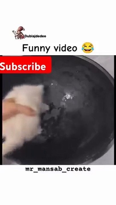 Funny video