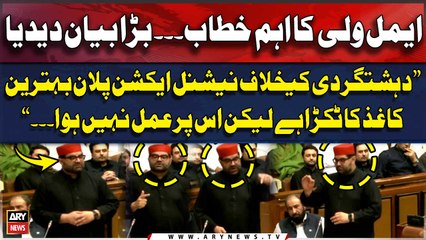 "Dehsahtgardi Kay Khilaf National Action Plan Behtareen Kagaz Hai Lekin...", Aimal Wali