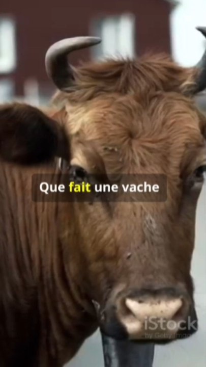 Petite blague #drole