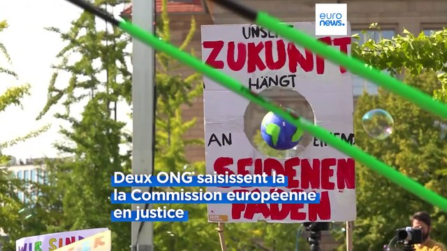 Des militants écologistes veulent forcer la révision des objectifs climatiques inadéquats de l'UE