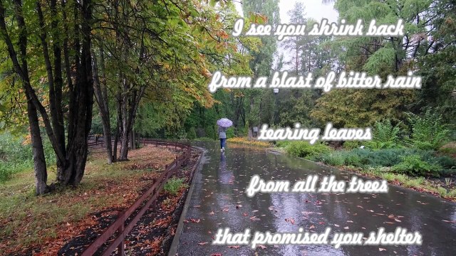 Kelvin Bueckert, Falling Sun (Lyric Video) #musicvideo #folkmusic #ballad