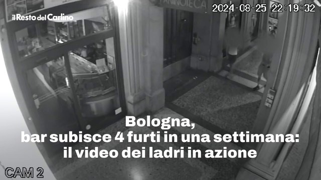 Bologna, bar subisce 4 furti in una settimana: il video dei ladri in azione