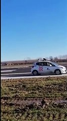 Parma, «l'allenamento» del falco per scacciare gli uccelli dai campi