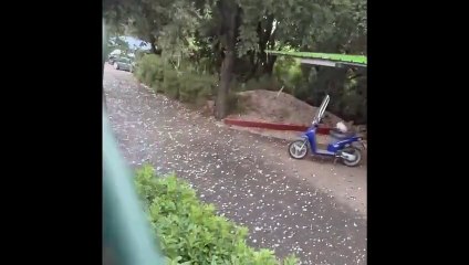 Castiglioncello, maxi grandinata con chicchi di grosse dimensioni. Diversi danni