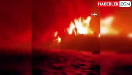 Brezilya'da orman yangını: 20 bin hektarlık alan küle döndü