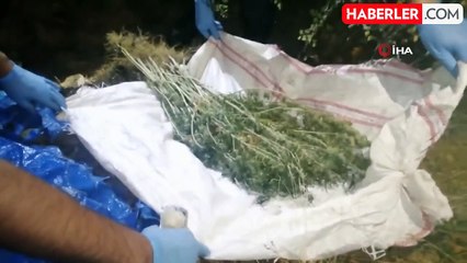 Isparta'da uyuşturucu operasyonu: 1 şahıs tutuklandı