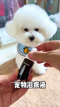 Xinbao gave birth to a child during the time when the tear stains were particularly serious, and later the third aunt recommended this tear stain liquid, now the eyes are clean and clean, the baby with tear stains at home