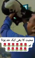 محبت کا بھی ایک حد ہوتا ہے عمران خان کی محبت میں لوگ پاگل ہو گئے