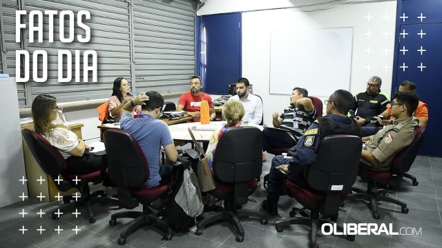 Órgãos municipais e estaduais se unem no combate a enxames de abelhas