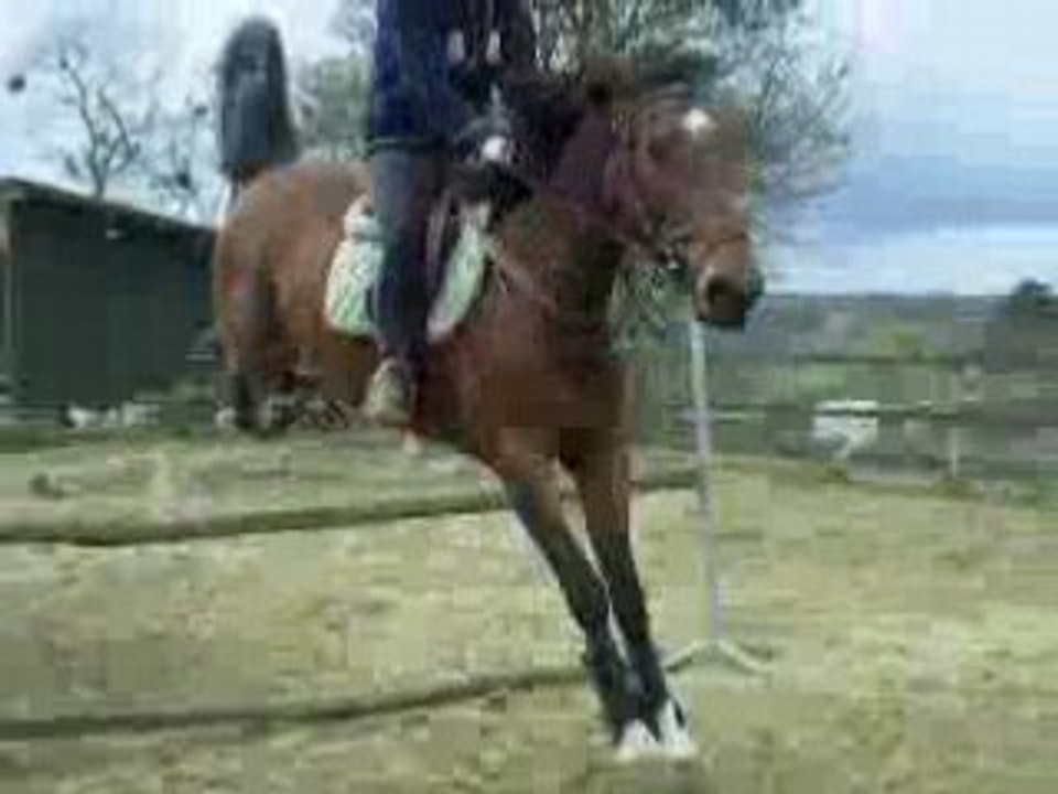 Moi sur Merk - 19.04.08