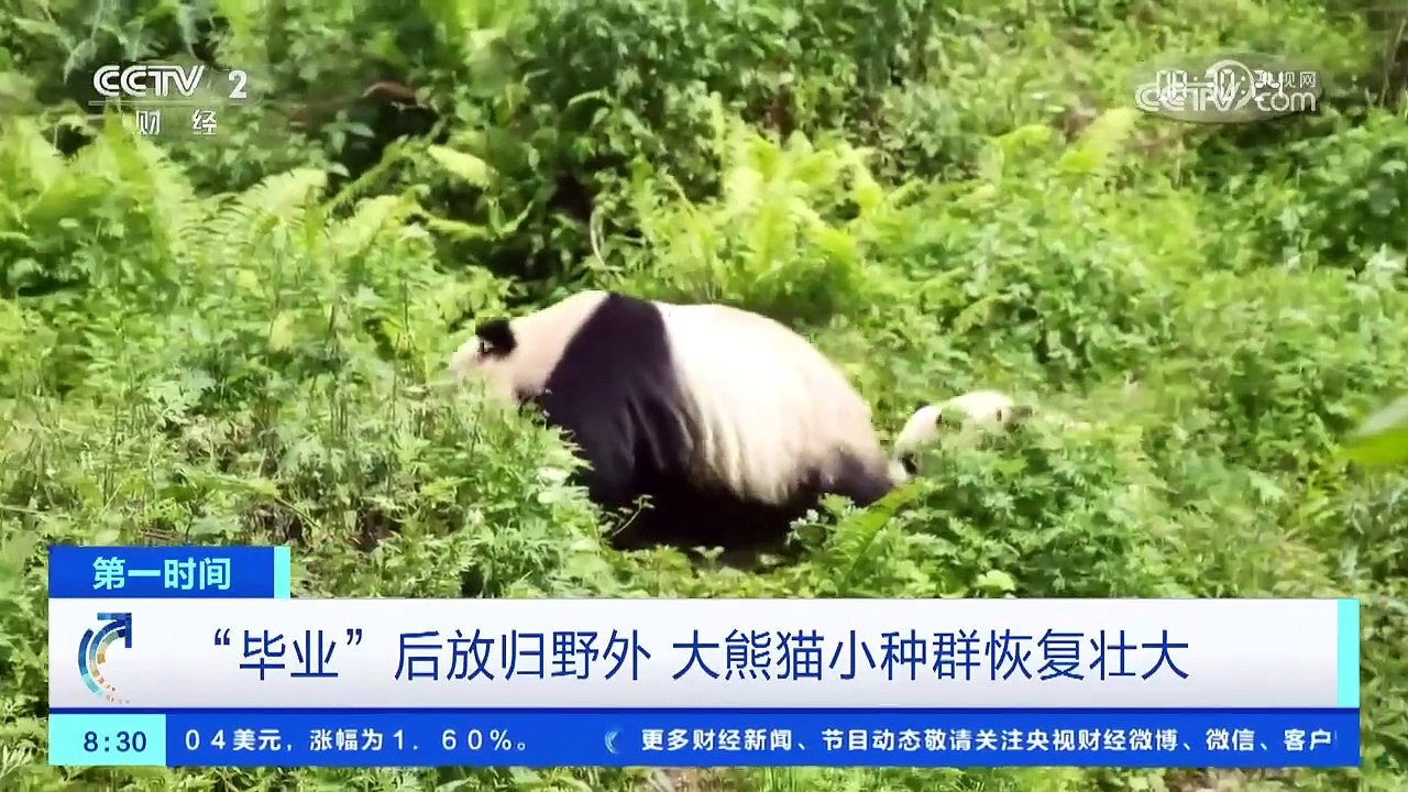trixuan