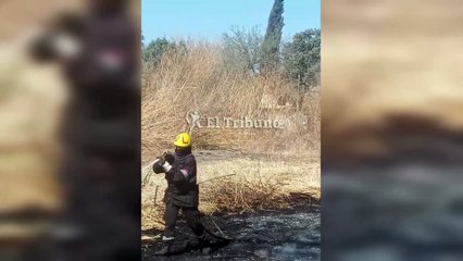 Rápido accionar para sofocar un incendio de pastizales en zona sur