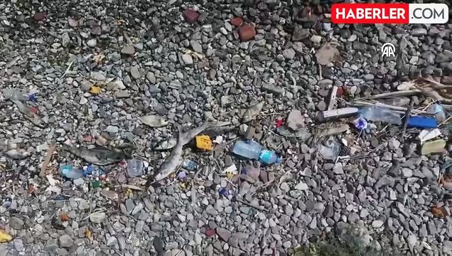 İzmir Körfezi'nde balık tutulmaması için uyarıcı afişler asıldı