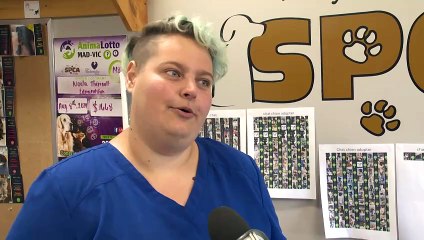 ED 27 aout TOPO chatton