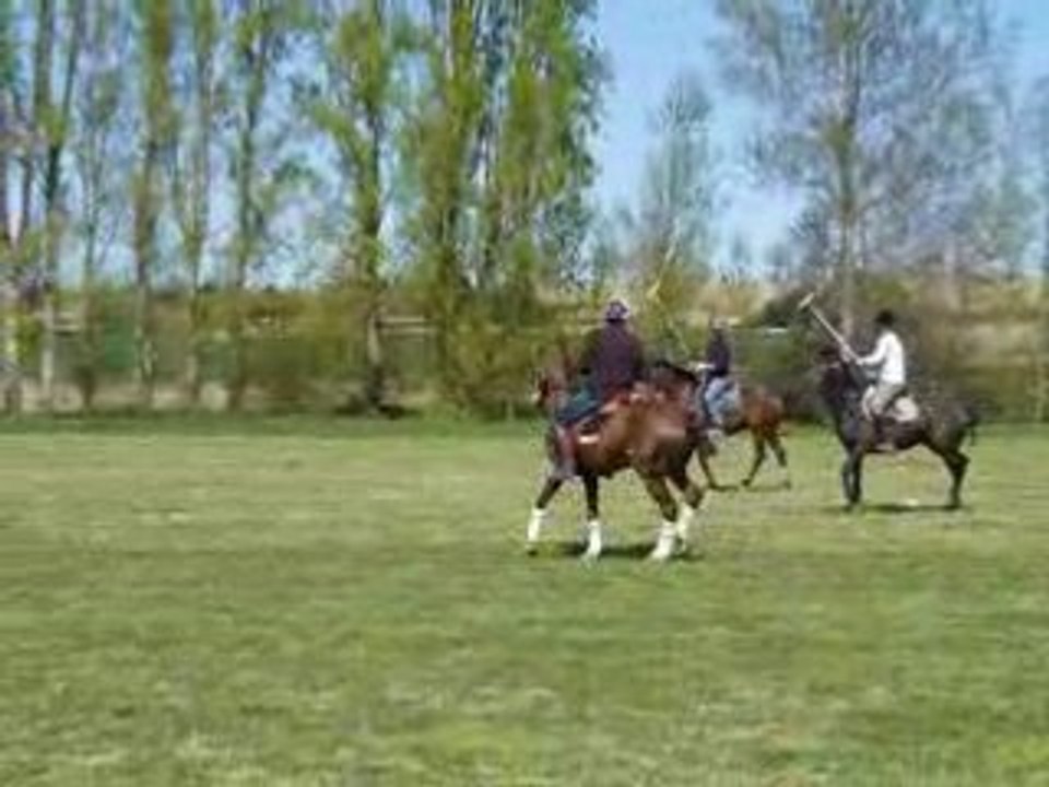 stage inirtiation Polo Midi-Pyrenées 2008