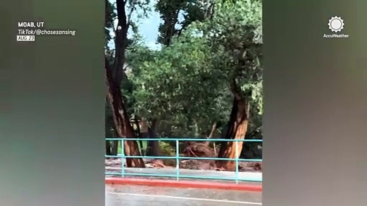 Utah flash flooding sweeps away trees, submerges city streets