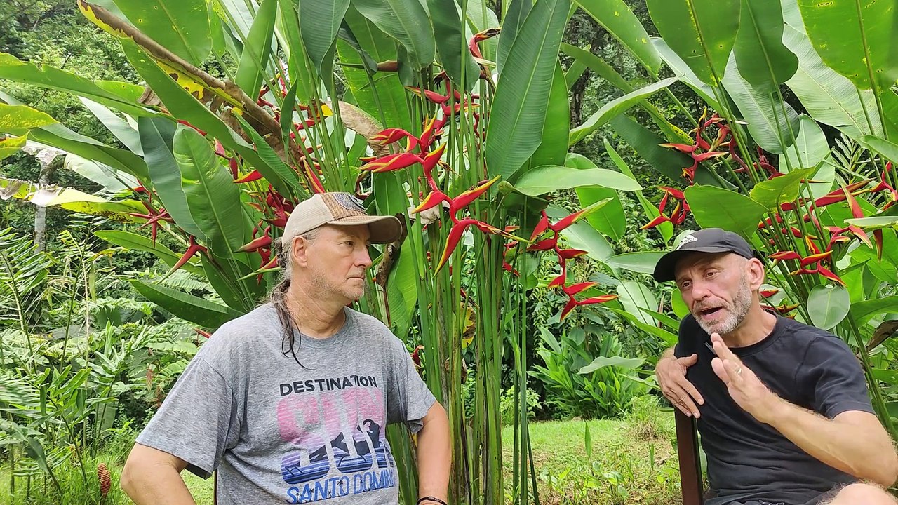 (331) Richard, verheiratet, viele Jahre in Drake Bay | AUSWANDERN nach COSTA RICA